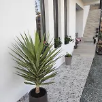 Casa Almarita Gazde/Camere de închiriat *